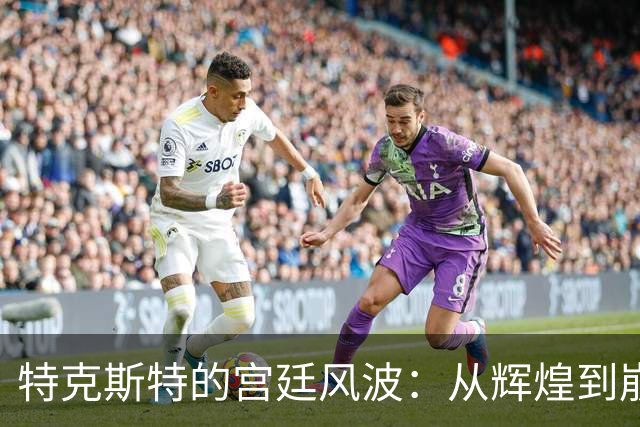 特克斯特的宫廷风波：从辉煌到崩塌的戏剧人生